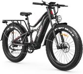 FREESKY 2500W BAFANG Motor Electric