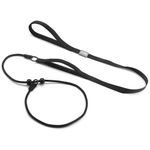 Slip Lead for Dogs Leash with Comfy Handle Adjustable Collar Thin Dog Lead Strong Sturdy Anti-Pull Anti-Choking Nylon Training Rope for Outdoor Puppy Small Medium Large Dogs Black