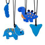 QINREN 4 Pcs Sensory Chew Necklaces, Food Grade Silicone Chewing Toys Set, Oral Motor Chewy Teether with Wearable Rope for Kids Boys Girls Teething, Anxiety, Biting Needs (Blue Dinosaur)