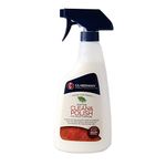 Guardsman Clean & Polish for Wood Furniture, Woodland Fresh 16 oz Spray 461100