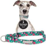 Lucky Love Dog Martingale Dog Collar - Adjustable, No-Slip, Durable, & Soft Webbing Dog Collar for Male and Female Dogs Ideal for Training & Walking - Penny, Medium