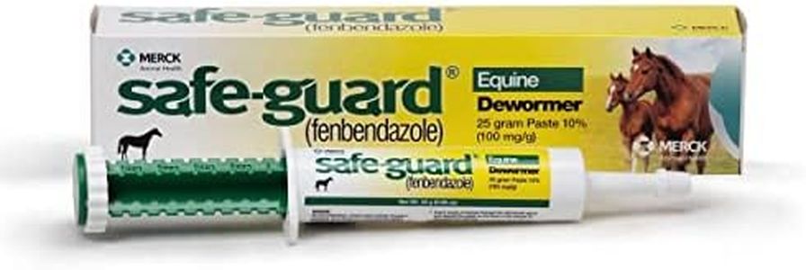 SafeGuard 
