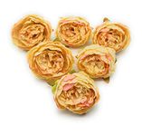 SATYAM KRAFT 6 Pcs Artificial Fake Fabric Head Rose Flowers for Home Decoration, Gift, Deepwali, Mandir Pooja Table, Cake Decor, Bouquet Making, Backdrop (Peach, 8 cm)(Fabric)