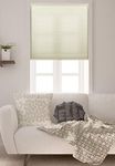 Arlo Blinds Single Cell Light Filtering Cordless Cellular Shades, Color: Cream, Size: 36" W x 60" H