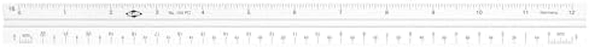110 Series Triangular Scale