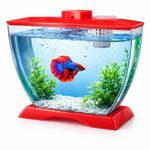 VAYINATO® Mini Acrylic Betta Fish Tank with Plant Pot Holder | Clear Acrylic | 22×12×15 cm | Desktop Nano Tank for Betta & Small Fish | Kid Safe, Beginner Friendly | Random Colour