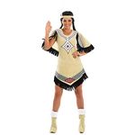 Fun Shack Native American Costume Women Indian Halloween Teacher Womens Book Character Costumes for Adults Small