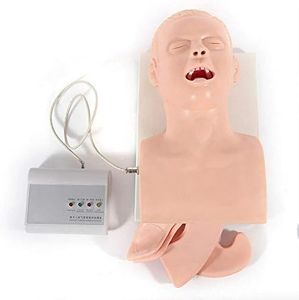 PVC Adult Intubation Trainer Manikin Kit - Airway Management Teaching Model - Oral Nasal Intubation Training Tracheal Manikin Simulator Model