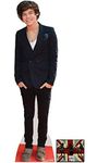 (Websweep Limited) Celebrity Fan Packs H Styles Lifesize Cardboard Cutout (Standee/Standup) - Includes 6X4 (15X10Cm) Star Photo