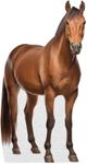 Horse - Life Size Cardboard Cutout 