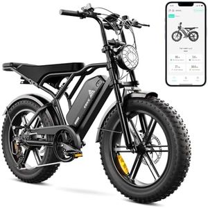 TST E Bike
