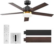 ACOQOOS Ceiling Fans with Lights an