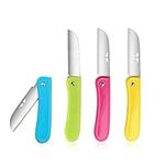 Fruit Knife, 4 Pieces of New Foldable Small Kitchen Knife, Exquisite and Beautiful, Small and Easy to Carry，Suitable for Most Types of Vegetables and Fruits(red, Blue,Green,Yellow)