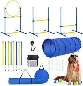 Dog Agilit