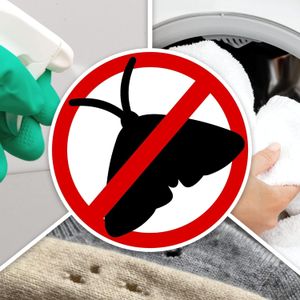 NOPE! Moth Killer Spray 5L – Odourless, Long-Lasting Clothes & Carpet Repellent