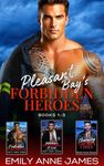 Pleasant Bay's Forbidden Heroes: A Sizzling Small Town Secret Romance Surprise Baby Collection (Pleasant Bay’s Forbidden Heroes)