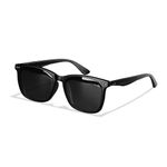 Wayfarer Sunglasses With Flexes