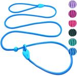 Slip Leads for Dogs Puppy Leash Com