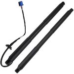 BINB ROAD Pair of Rear Tailgate Gas Strut Driver Passenger Side 1669802164 + 1668900000 Lift Cylinder Compatible with Mercedes Benz M GLE Class W166 4-Matic 2012-2019