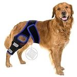 AwaeIpet Dog Knee Brace Leg ACL: Dogs Hind Joint Support for Rear Cruciate Ligament Pain Torn (Small)