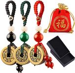 SURNUO Chinese Good Luck Coins Feng Shui Coins Lucky Gifts Good Luck Charms Decor for Wealth Prosperity 3 Pack