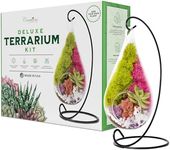 Creations by Nathalie - Plant Terrarium Kit, Hanging Glass DIY Terrarium Starter Kit for Adults, Metal Stand, Reindeer Moss, Crystal & Rocks, Tools, Figurine