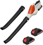 Saterkali Cordless Leaf Blower, Electric Leaf Blower with 2 Batteries and 1 Charger for Lawn Care, 24V Battery Powered Leaf Blower for Snow Blowing High Capacity Battery EU