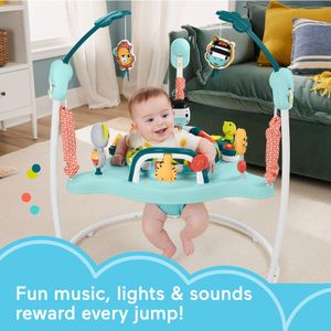 Fisher-Price Colorful Corners Jumperoo Baby Activity Center