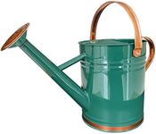 Metal Watering Can for Outdoor and Indoor Plants, Watering Can Decor, 1 Gallon (1 Gallon Green2)