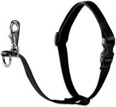 LupinePet Basics 1" Black 26-38" No Pull Harness for Medium-Larger Dogs