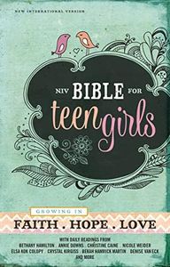 NIV Bible 