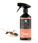 EcoValley Ant Repellent Spray 500ml - Effective Indoor and Outdoor Ant Stopper - Humane, Formula - Safe Alternative to Ant Terminator