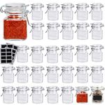 Lawei 30 Pack Glass Spice Jars with Airtight Hinged Lids - 3.4 Oz Small Glass Mason Jars Square Spice Bottles for Spice, Herbs and Coffee, Include Labels