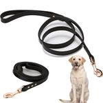 Leather Dog Leashes