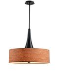 Kenroy Home Transitional Pendant Light, Oil Rubbed Bronze Finish