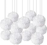 XIKSXITN 12pc White Tissue Paper Pompoms-Hanging Paper Pom Poms Paper Flowers Ball for Party Decorative(10&12inch)