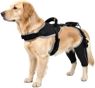 LISPOO Dog Knee Brace for Torn ACL/CCL Hind Leg,Adjustable Support with Sufficient Wrapping and Support & Luxating Patella,Non-Slip Joint Brace,Pain Relief&Better Recovery-Both Leg-Upgraded/XL