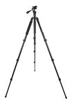 Celestron 82051 Hummingbird Fast Action Pan Tilt Head Tripod for a Spotting Scope, Binocular or Camera, Black