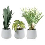 MyGift Modern Assorted Artificial Plants Potted in White Textured Planter Pots, 3 Piece Combo Set Tabletop Greenery House Plant Includes Faux Mini Palm, Arrowhead Vine, and Snake Plant