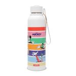 Disney Insulated Water Bottles