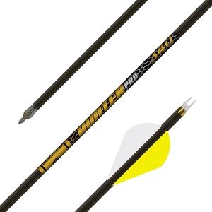Gold Tip H