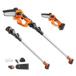 VEVOR 2-in-1 Cordless Pole Saw & Mini Chainsaw, 20V 2Ah Battery Pole Chainsaw, 5" Cutting Capacity 8 ft Reach Pole Saw for Branch Cutting & Tree Trimming (Battery and Blade Cover Included)