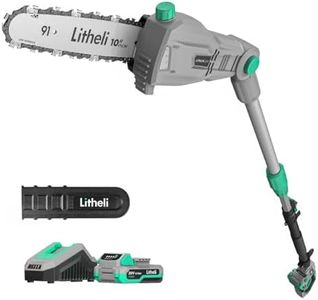 Litheli Cordless Pole Saw 10-Inch, 20V Battery-Powered Pole Saws for Tree Trimming, Tree Trimmer for Branch Cutting, Trimming, Pruning, with 2.0Ah Battery & Charger
