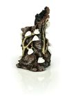 biOrb Shell Tree Stump Ornament White