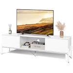 WLIVE Modern TV Stand for 65 Inch T