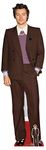 STAR CUTOUTS CS836 Harry Singer Songwriter Cardboard Cutout with Free Mini Standee Perfect for Birthdays, Gifts, Parties & Fans, Multicolour, Regular