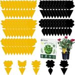 Fruit Fly Traps, Triitech 50 Pack S