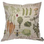 AOYEGO Vintage French Vegetable Throw Pillow Cover Carrots Fresh Healthy Insect Organic Cabbage Petit Pois Greenery Pillow Case 18x18 Inch Decorative Men Women Room Cushion Cover for Home Bed