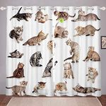 Cat Windows Drapes Set Cute Funny Cat Curtains for Bedroom Living Room for Kids Boys Girls Animal Print Curtains Pet Cats Pattern Room Decoration,W46*L54