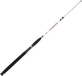 Berkley 6’6” Big Game Casting Rod, 